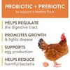 FlockLeader THRIVE Supplement