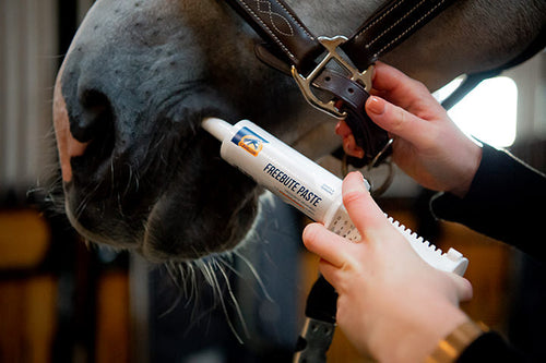 Cavalor FreeBute Paste