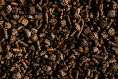 BUCKEYE™ Nutrition EQ8™ Senior