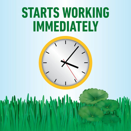 Roundup® for Southern Lawns