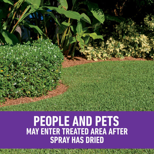 Roundup® for Southern Lawns