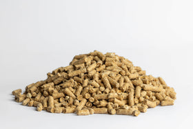 Alltech Lifeforce Calming