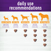 Wellness Shine Skin & Coat Support Soft Chews