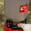 Happy Hen Silo Feeder