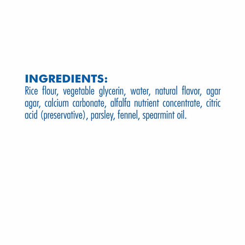 N-Bone Flossta Dual-Action Dental Chews Mint Flavor for Dogs