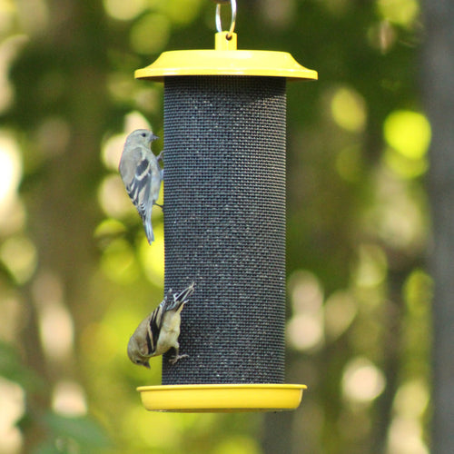Nature's Way Bird Sunglow Metal Mesh Thistle Bird Feeder