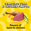 Temptations Tempting Tuna & Chicken Flavor Dry Cat Food