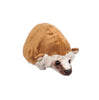 Evergreen Hedgehog Bean Bag