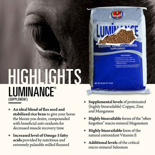 Hallway Luminance® Fat Supplementation for Equine Conditioning