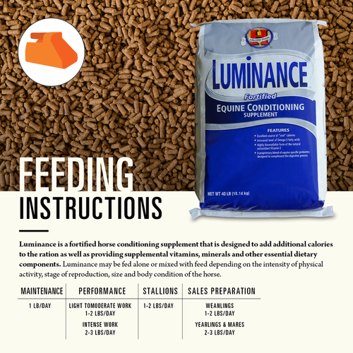 Hallway Luminance® Fat Supplementation for Equine Conditioning