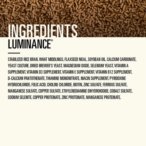 Hallway Luminance® Fat Supplementation for Equine Conditioning