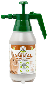 Bobbex-R Animal Repellent 48 oz. E-Z Pump Ready To Use Spray