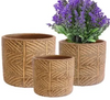 Harbor Gardens Planter Nala Carved Flower