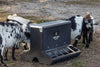 Behlen Country SafeStart Poly Creep Feeder