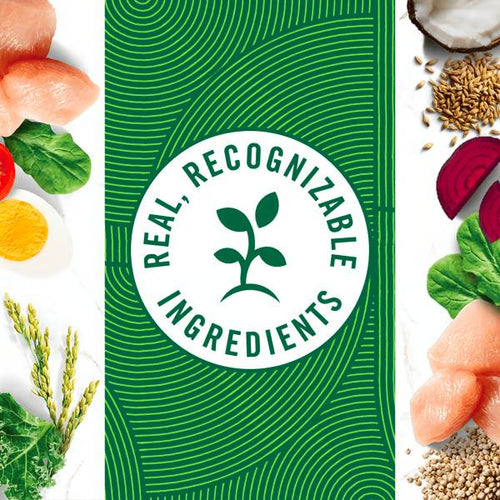 Nutro Large Breed Adult Lamb & Brown Rice Recipe Dry Dog Food