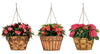 Deer Park Ironworks Floral, Daisy, and Arch Hanging Baskets w/ Coco Liner