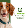 Fromm Mobility Supplement Pâté Wet Dog Food
