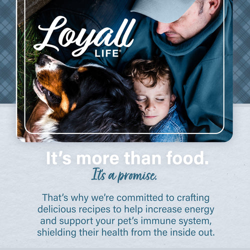 Nutrena® Loyall Life® Large Breed Lamb Meal & Brown Rice Recipe Adult Dog Food