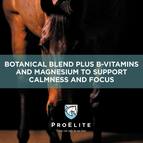 ProElite® Calm
