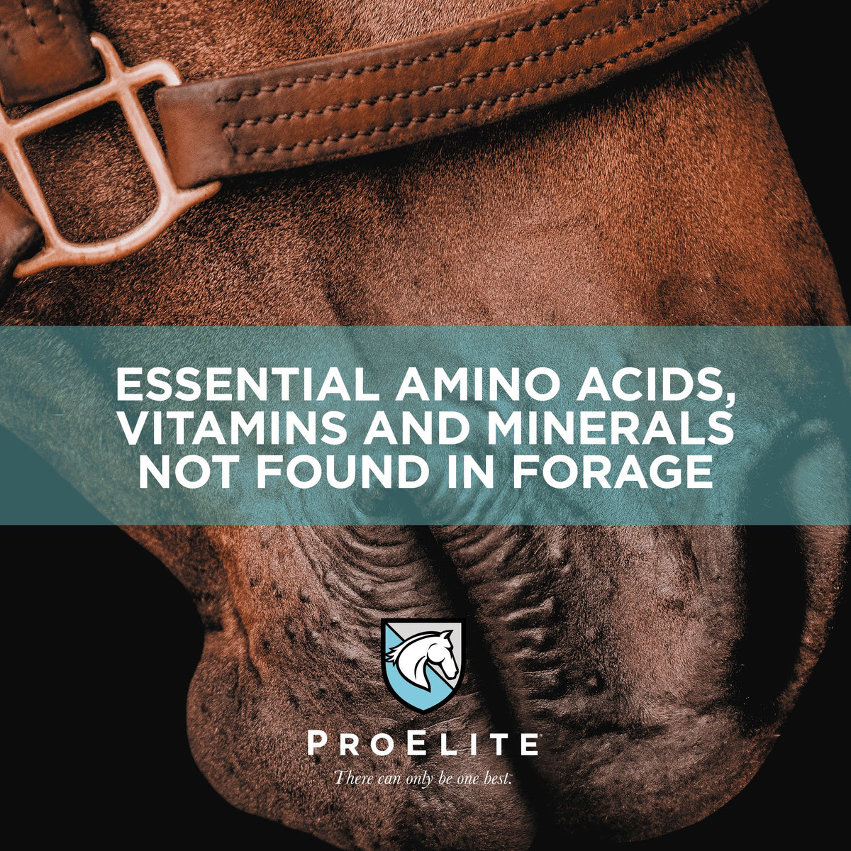 ProElite® Elements - Danbury, CT - New Milford, CT - Agriventures Agway ...