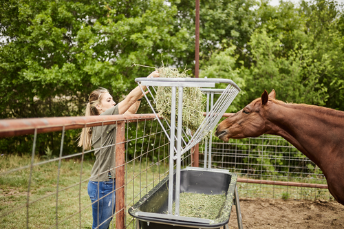 Tarter Hay Rack