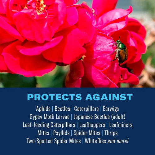 BIOADVANCED All-In-One Rose & Flower Spray Concentrate