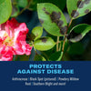 BIOADVANCED All-In-One Rose & Flower Spray Concentrate