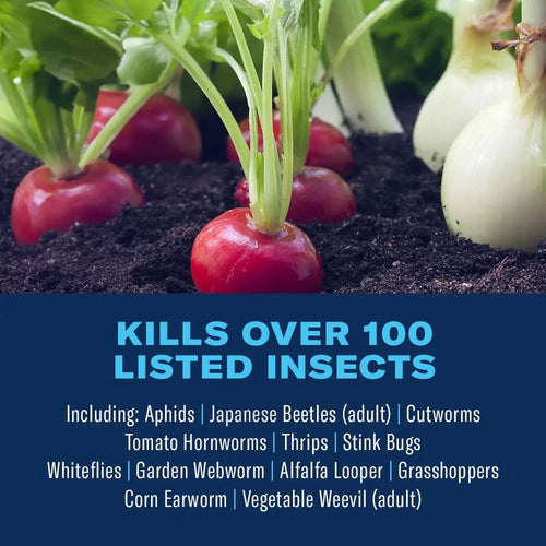 BIOADVANCED Tomato and Vegetable Insect Killer