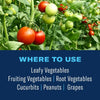 BIOADVANCED Tomato and Vegetable Insect Killer