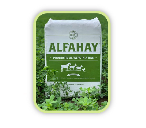 New Country Organics Alfahay Probiotic Alfalfa