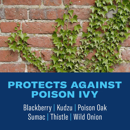 BioAdvanced Brush Killer Plus Concentrate