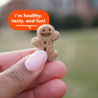 Cloud Star Buddy Biscuits Soft & Chewy Treats: Peanut Butter