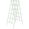 A Frame Trellis