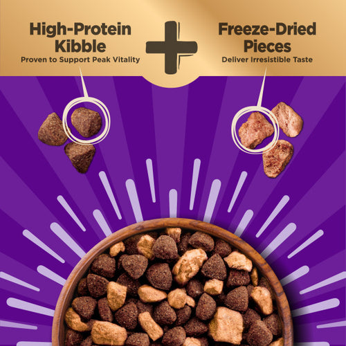 Wellness CORE+ Grain Free Ocean Whitefish, Herring Meal & Salmon Meal Recipe Dry Dog Food