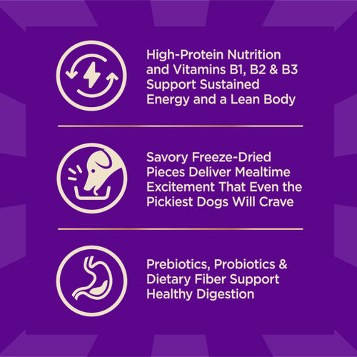 Wellness CORE+ Grain Free Ocean Whitefish, Herring Meal & Salmon Meal Recipe Dry Dog Food