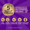 Wellness CORE+ Grain Free Ocean Whitefish, Herring Meal & Salmon Meal Recipe Dry Dog Food