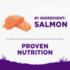 Wellness Complete Health Grain Sensitive Skin & Stomach Salmon & Rice Recipe Dog Food