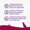 Wellness Complete Health Natural Small Breed Adult Turkey and Oatmeal Recipe Dry Dog Food
