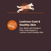 Wellness CORE Digestive Health Chicken & Brown Rice Dog Food