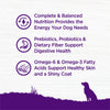 Wellness Complete Health Natural Adult Grain Free Deboned Chicken and Chicken Meal Recipe Dry Dog Food