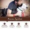 Holistic Select Natural Adult Health Chicken Meal and Brown Rice Recipe Dry Dog Food