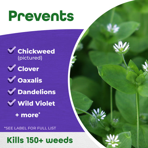 Bonide Chickweed, Clover & Oxalis Killer Concentrate