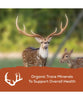 Record Rack® Antlers Plus Deer and Exotics