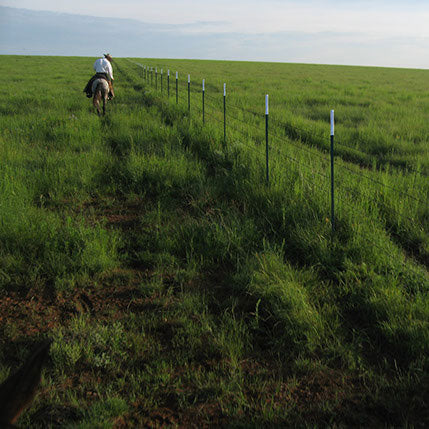 Chicago Heights Studded T Post