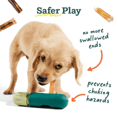 Woof The BullySafe Chew Holder Dog Toy