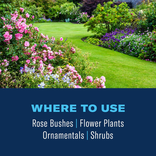 BioAdvanced 3-in-1 Insect, Disease, & Plant Mite Control