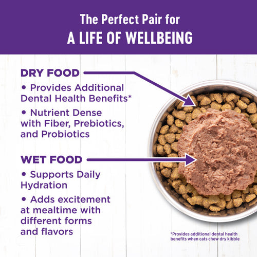 Wellness Complete Health Natural Adult Grain Free Deboned Chicken and Chicken Meal Dry Cat Food
