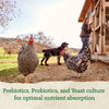 Nutrena® NatureWise® All Flock 20% Protein Pellet