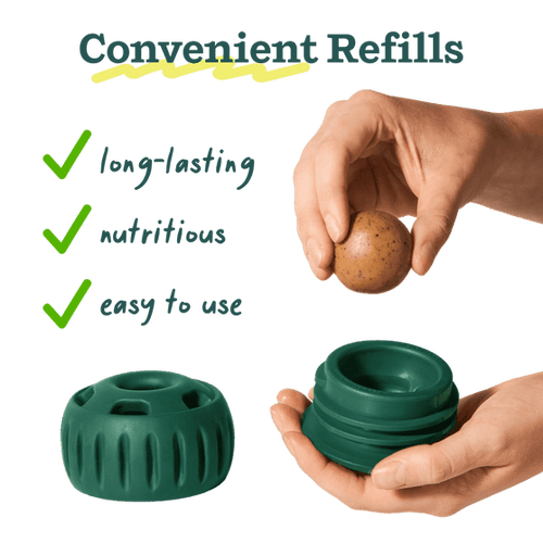 Woof Pupsicle Pops Beef