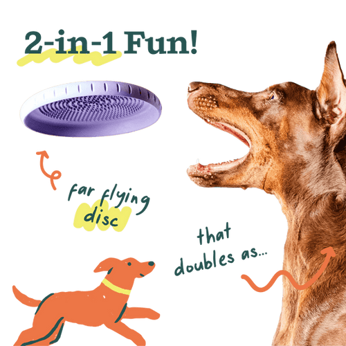 Woof Fly n' Feed Dog Toy